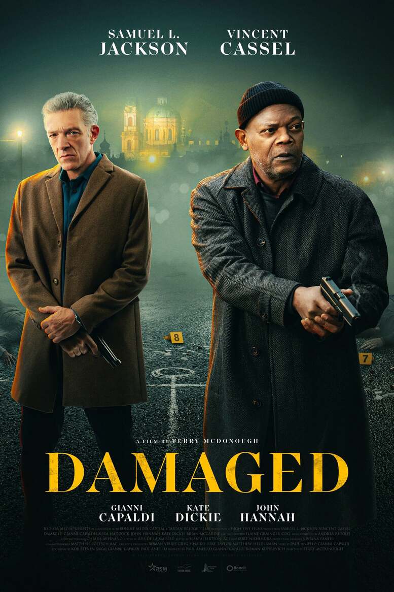 Damaged 2024 Dubbed in Hindi HdRip